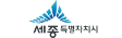 세종특별자치시